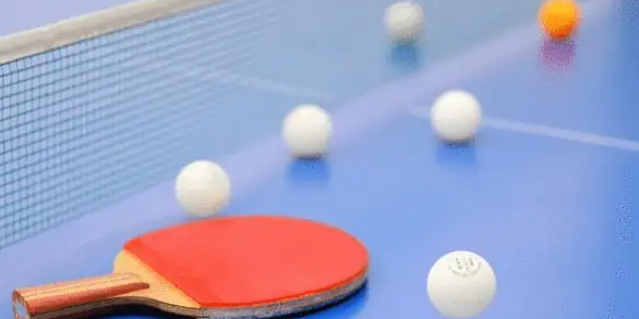 表象训练法在乒乓球教学中的运用研究