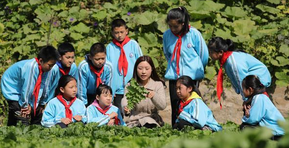 邵阳县农村中小学劳动教育的现实困境与路径探索