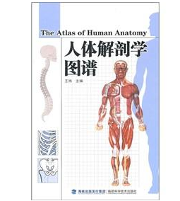混合教学模式在人体解剖学教学中的应用
