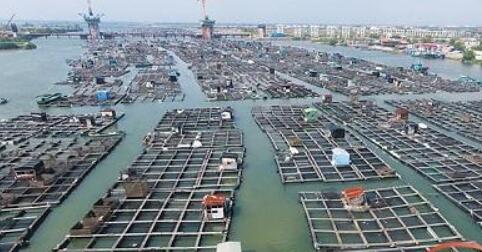 广东省水产种业的发展现状