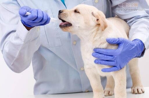 动物卫生工作中动物检疫现状浅析