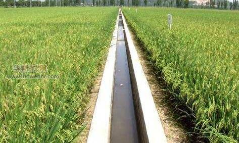 农田水利工程高效节水灌溉技术应用