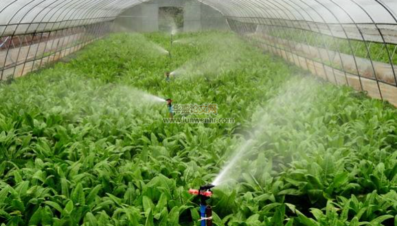 发展节水农业促进农业增效