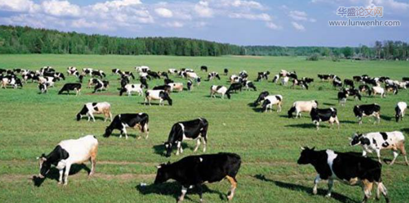 畜牧产业扶贫动物疫病防控问题及建议