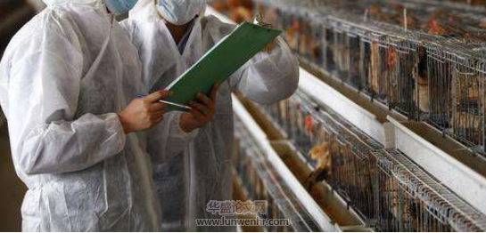 动物检疫存在问题及应对措施