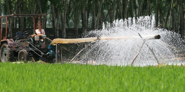 不同灌溉模式对水稻耗水量及产量的影响