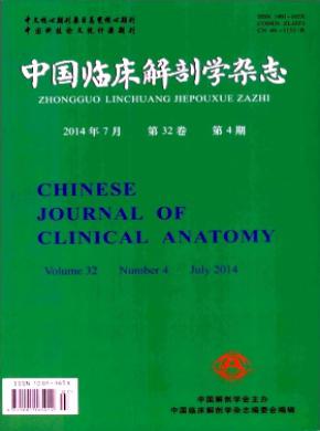 中国临床解剖学好投稿吗