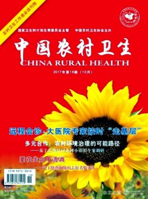 中国农村卫生论文发表费用