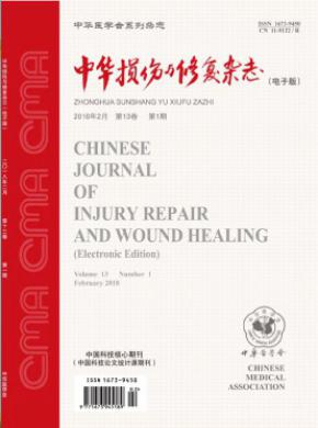 中华损伤与修复(电子版)期刊格式要求
