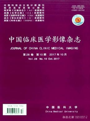 中国临床医学影像发表论文