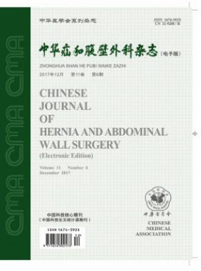 中华疝和腹壁外科(电子版)论文发表