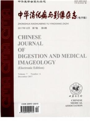 中华消化病与影像(电子版)发表论文版面费