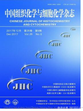 中国组织化学与细胞化学发表论文版面费
